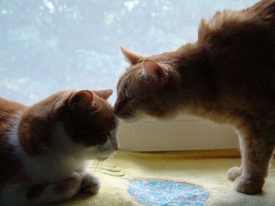 tn_Willi-Heinrich.JPG (51.41 KiB) 31055-mal betrachtet tn_Willi-Heinrich.JPG