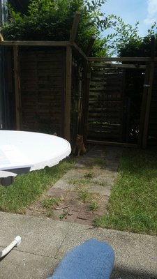 20140619_115859.jpg
