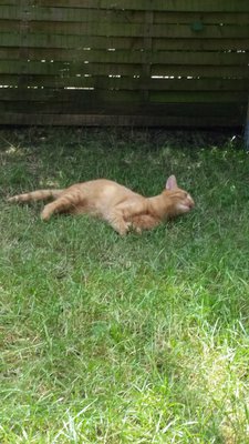 20140619_111334.jpg