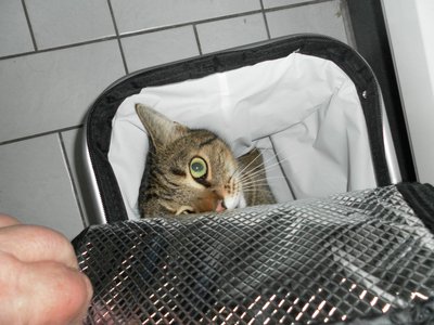 SAM_0003.JPG (340.63 KiB) 30084-mal betrachtet SAM_0003.JPG