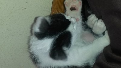 20140701_104655.jpg
