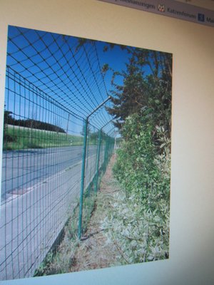 IMG_3420.JPG (802.09 KiB) 10897-mal betrachtet IMG_3420.JPG