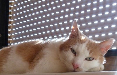 tn_P1070328.JPG