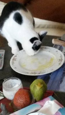 image.jpg (82.3 KiB) 17555-mal betrachtet image.jpg