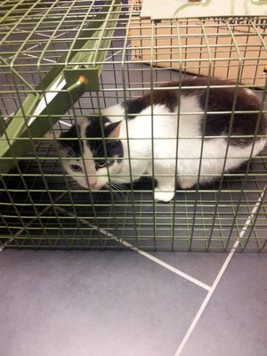 nr1.jpg (92.67 KiB) 17013-mal betrachtet nr1.jpg