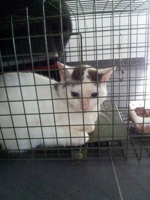 nr2.jpg (89.83 KiB) 17013-mal betrachtet nr2.jpg