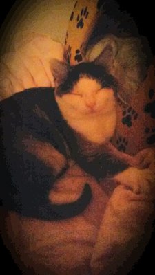 2014-10-29 14.22.46.jpg (373.05 KiB) 12044-mal betrachtet 2014-10-29 14.22.46.jpg