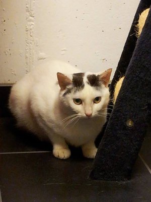 L1.jpg (53.37 KiB) 17219-mal betrachtet L1.jpg