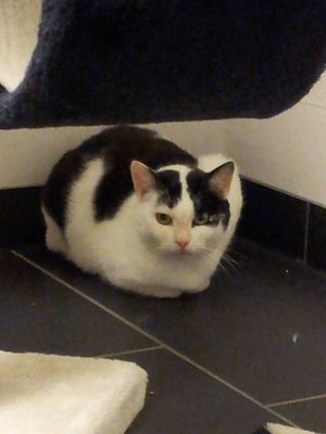 c1.jpg (42.9 KiB) 16803-mal betrachtet c1.jpg