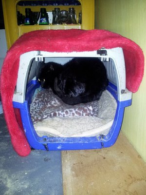 peter.jpg (99.08 KiB) 14340-mal betrachtet peter.jpg