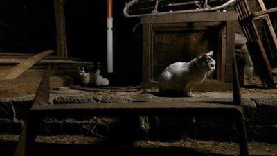 cl.jpg (18.11 KiB) 14349-mal betrachtet cl.jpg