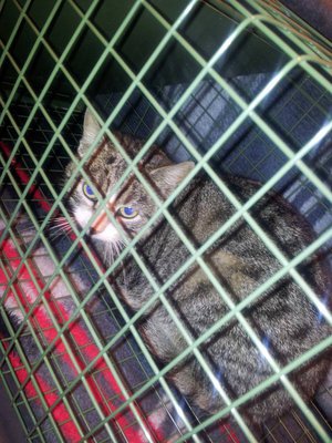 neu.jpg (117.07 KiB) 14340-mal betrachtet neu.jpg