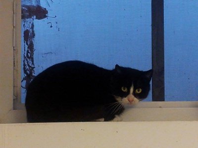 11.jpg (48.29 KiB) 14297-mal betrachtet 11.jpg