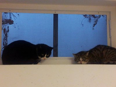 12.jpg (58.96 KiB) 14306-mal betrachtet 12.jpg