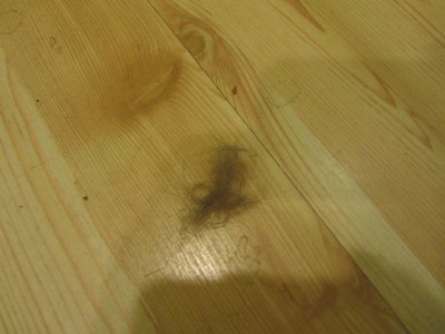 IMG_0014.JPG (88.88 KiB) 28595-mal betrachtet IMG_0014.JPG