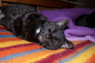 tn_P1120553.JPG (112.25 KiB) 21919-mal betrachtet tn_P1120553.JPG