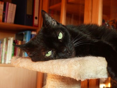 tn_P1140999.JPG (59.75 KiB) 21919-mal betrachtet tn_P1140999.JPG