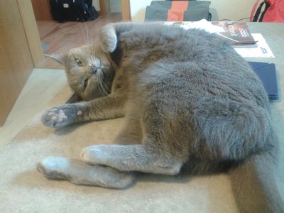 20140921_104959.jpg