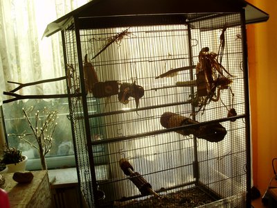 spielplatz 002.JPG (801.4 KiB) 13432-mal betrachtet spielplatz 002.JPG