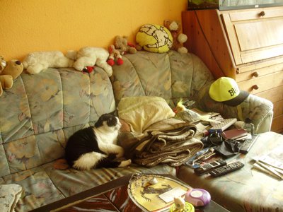 008.JPG (771.17 KiB) 13106-mal betrachtet 008.JPG