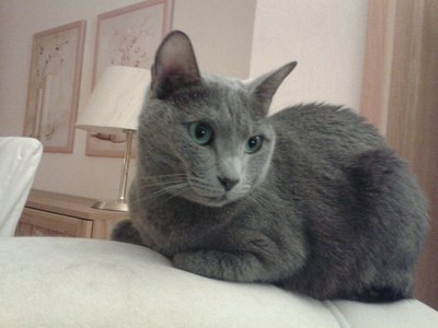 20140218_210129.jpg
