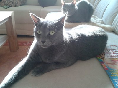 20140219_151544.jpg