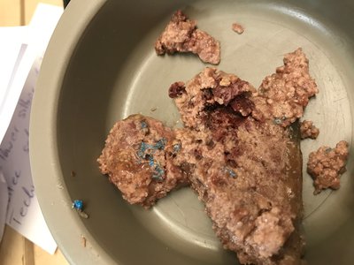 IMG_0332.JPG (537.21 KiB) 7247 mal betrachtet Plastik im Futter