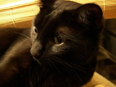 100_0085.JPG