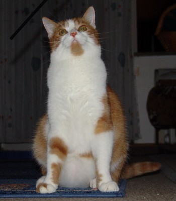05.jpg