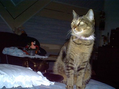 IMG00054.JPG