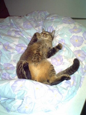 IMG00016.JPG
