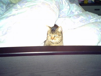 IMG00028.JPG