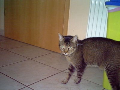 IMG00009.JPG