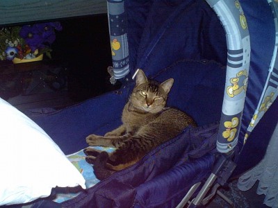 IMG00044.JPG