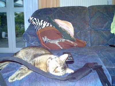 IMG00029.JPG