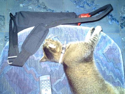 IMG00031.JPG