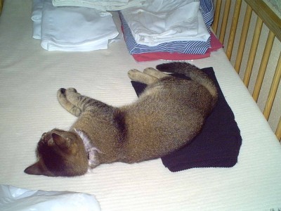 IMG00040.JPG