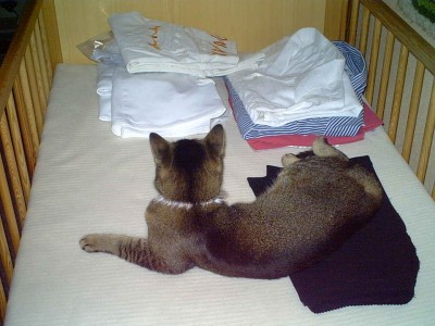 IMG00041.JPG