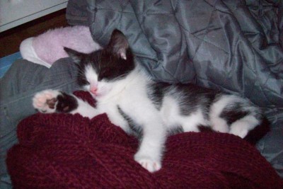 Bild 213.jpg (70.7 KiB) 7659-mal betrachtet Bild 213.jpg