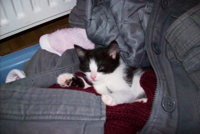 Bild 212.jpg (85.46 KiB) 7657-mal betrachtet Bild 212.jpg