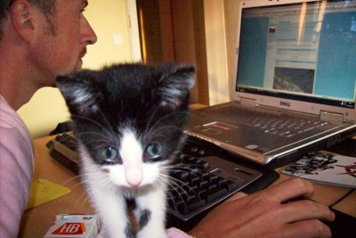 Urmel-Fred 005.jpg (91.71 KiB) 7656-mal betrachtet Urmel-Fred 005.jpg