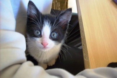 Urmel-Fred 007.jpg (109.81 KiB) 7360-mal betrachtet Urmel-Fred 007.jpg