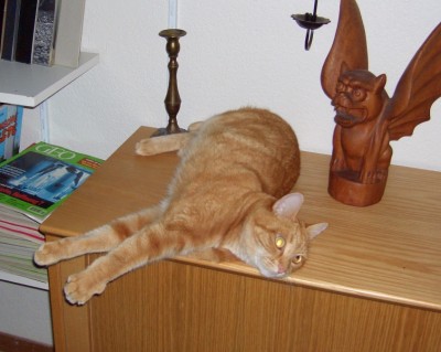 Leo.jpg (245.07 KiB) 5881-mal betrachtet Leo.jpg