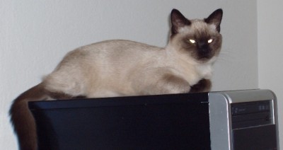 Luna.jpg (121.16 KiB) 5691-mal betrachtet Luna.jpg