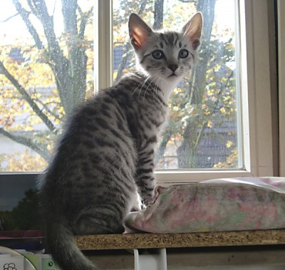 kl-8010.jpg (139.62 KiB) 6224-mal betrachtet kl-8010.jpg