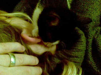 07112008(003)-712266.jpg (88.13 KiB) 5168-mal betrachtet 07112008(003)-712266.jpg