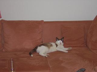 Yuma_neu_Neu006.JPG