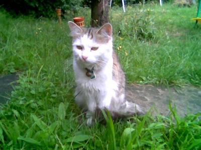 jacki 4.jpg (166.32 KiB) 20178-mal betrachtet jacki 4.jpg