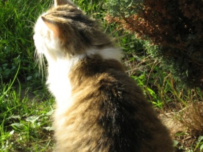 IMG_0166.JPG (248.78 KiB) 20351-mal betrachtet IMG_0166.JPG