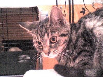 DSC00005.JPG (67.52 KiB) 5166-mal betrachtet DSC00005.JPG